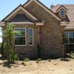 Beautiful House With Trees and Plants